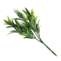 Green White