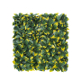 Yellow Photinia