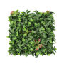 Photinia