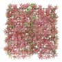 Red Maple Panel