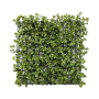 Olive Reineckea Carnea Panel