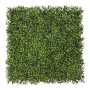Green Tea Panel
