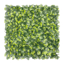 Ficus Panel