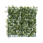 Beige Buxus