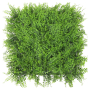 Fern With Backing
