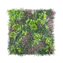 Purple Green