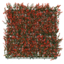 Red Buxus Panel