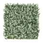 White Buxus With Backing