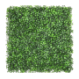 Double Boxwood