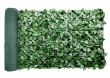 Ivy Leaves