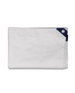 Coarbor 30' x 40' Waterproof Tarp Heavy Duty 10 Mil Multi Purpose Thick Poly Tarp Cover for Camping Patio Boat Roof Pool Tent RV Car, Silver