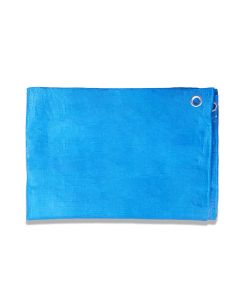 Coarbor 20' x 30' Waterproof Tarp Heavy Duty 5 Mil Multi Purpose Thick Poly Tarp Cover for Camping Patio Boat Roof Pool Tent RV Car, Blue